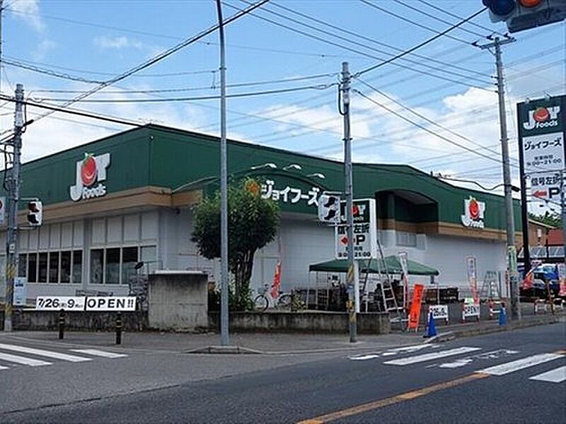 ジョイフーズ野田山崎店