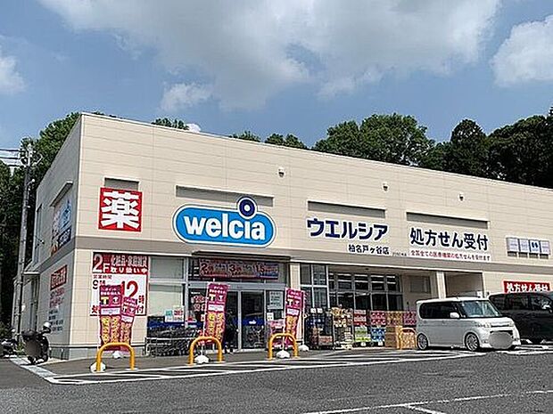 ウエルシア柏名戸ヶ谷店(約550m)