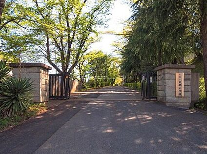 流山市立東部中学校 1300m(徒歩17分)