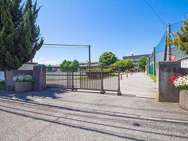 柏市立西原小学校（約600m）