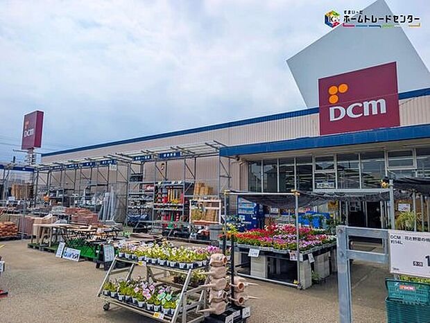 DCM新木野店（約800m）