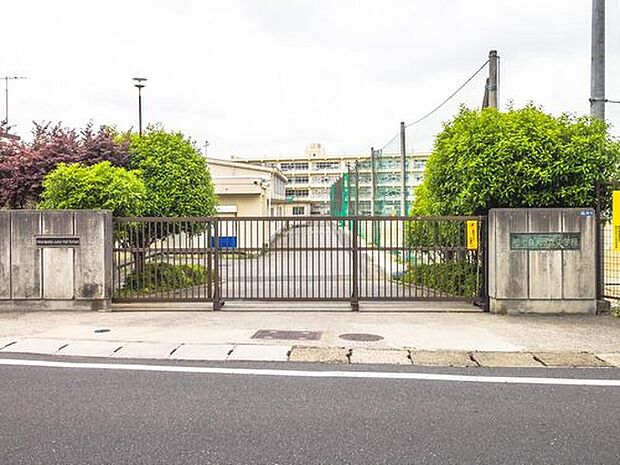 柏市立光ケ丘中学校（約490m）