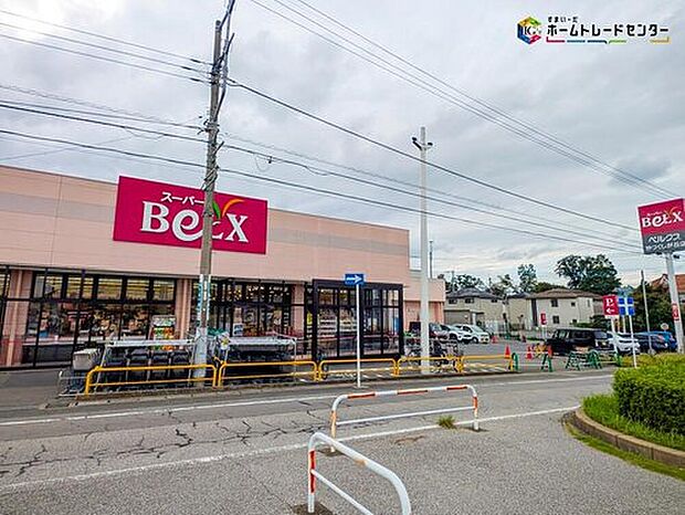 ベルクス柏つくしが丘店（約500m）