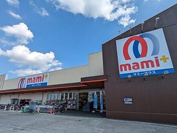 マミープラス柏根戸店(約500m)