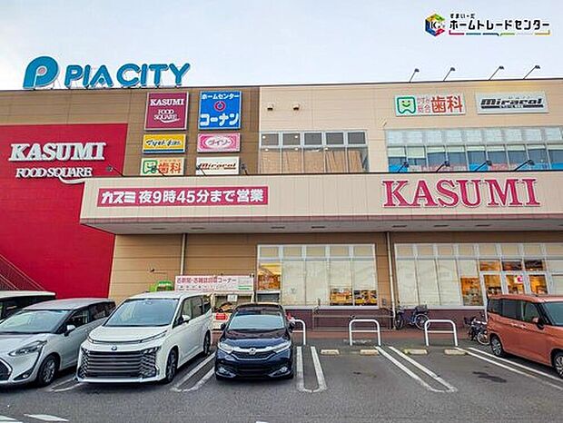 カスミフードスクエア柏中新宿店（約270m）