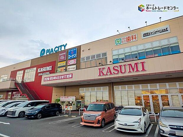 カスミフードスクエア柏中新宿店（約270m）