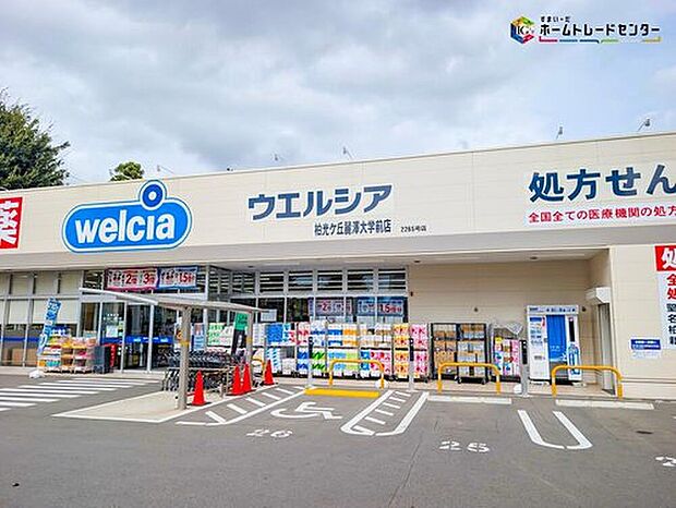 ウエルシア柏光ケ丘麗澤大学前店（約600m）
