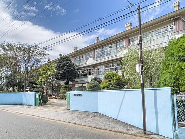 野田市立柳沢小学校（約600m）