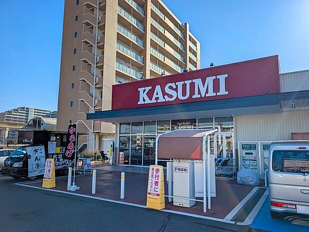 カスミ柏たなか駅前店（約1,500m）