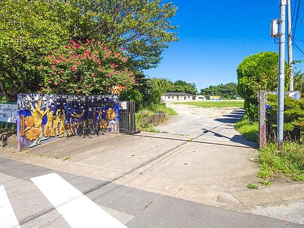 我孫子市立新木小学校（約400m）