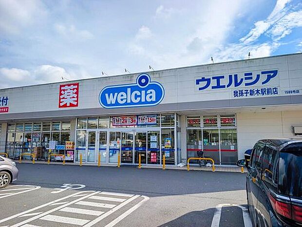 ウエルシア我孫子新木駅前店（約850m）