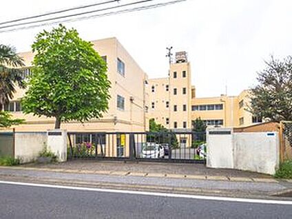 柏市立酒井根中学校 470ｍ(徒歩6分)