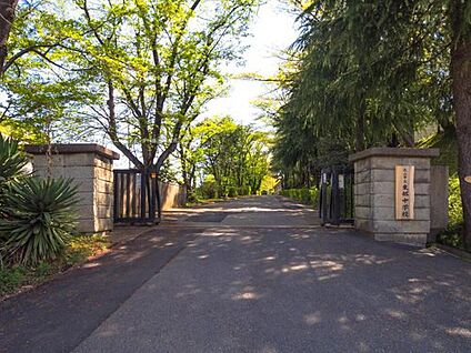 流山市立東部中学校 240m (徒歩3分)