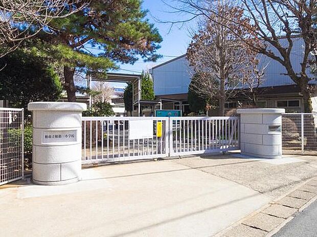 柏市立柏第一小学校(約1,020m)