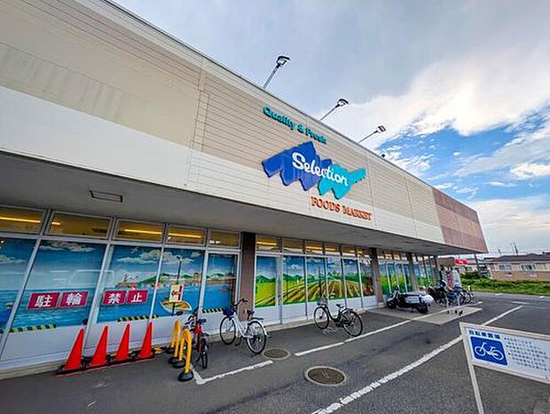 セレクション 青葉台店（約900m）