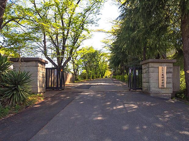 流山市立東部中学校（約1,200m）
