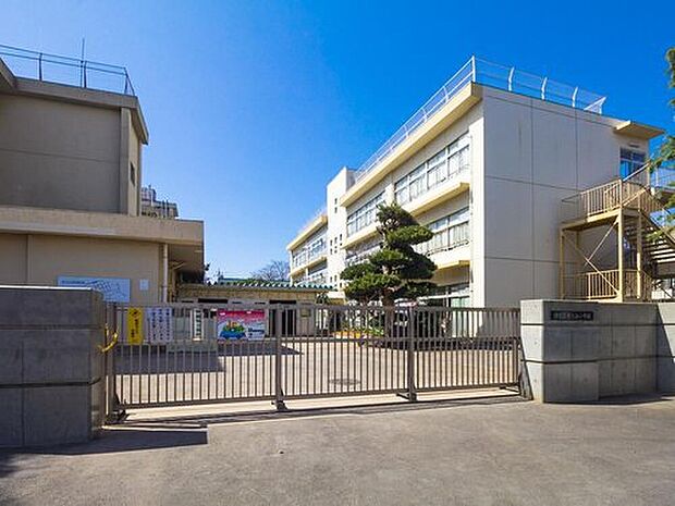 柏市立光ケ丘小学校（約430m）