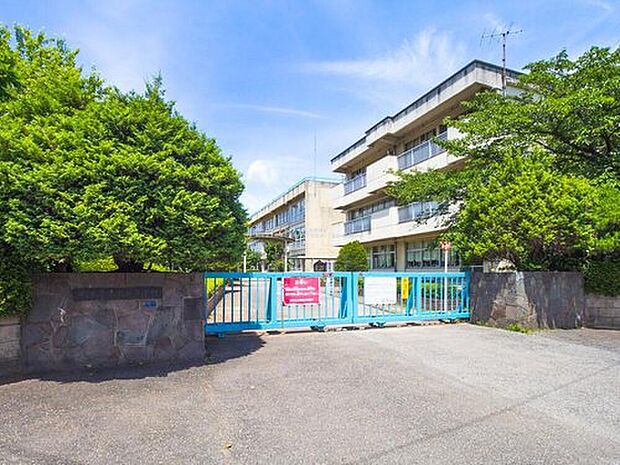 柏市立土南部小学校（約600m）