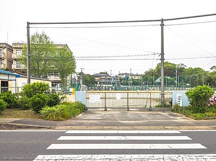 柏市立逆井中学校 1900ｍ(徒歩24分)