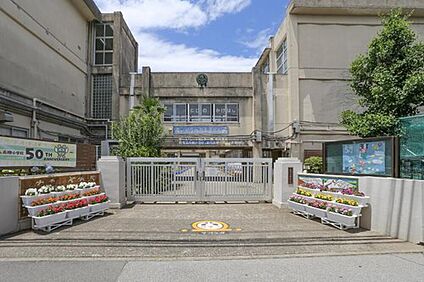 柏市立高柳小学校 600ｍ(徒歩8分)