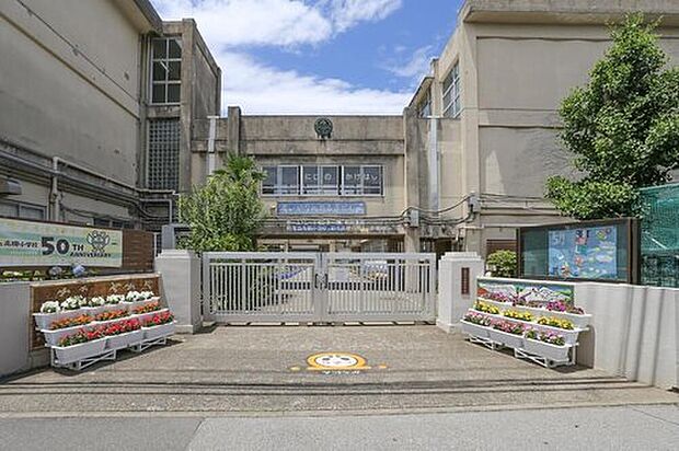 柏市立高柳小学校（約600m）
