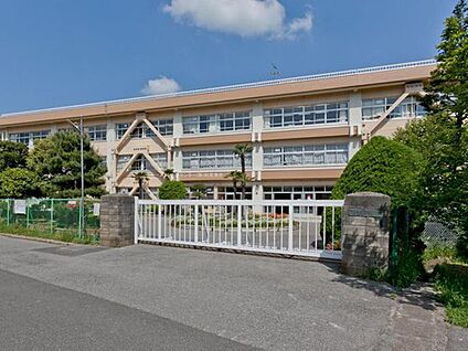 柏市立柏第七小学校 550m(徒歩7分)