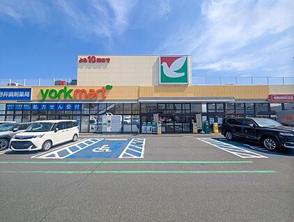 ヨークマート花野井店 290ｍ(徒歩4分)