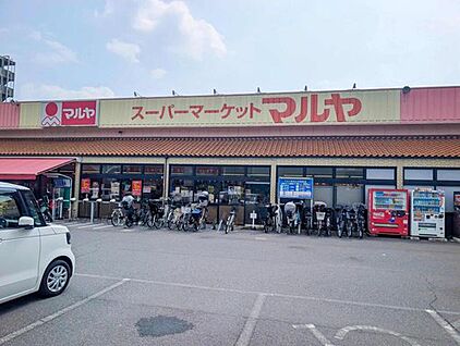マルヤ南流山店 1000ｍ(徒歩13分)