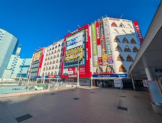 ビックカメラ柏店(約2,500m)