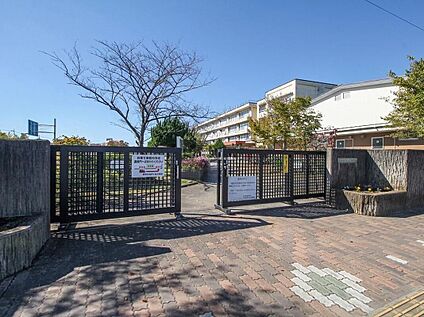 柏市立名戸ケ谷小学校 550ｍ(徒歩7分)