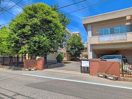 柏市立酒井根中学校 1000m(徒歩13分)