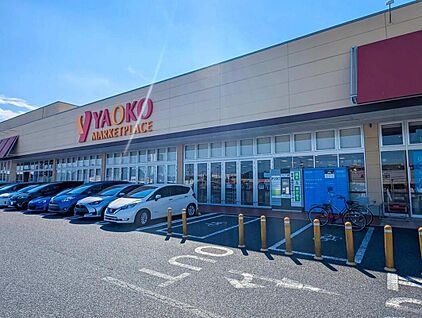 ヤオコー野田つつみ野店 1000ｍ(徒歩13分)