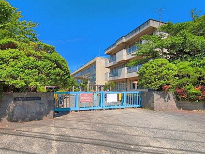 柏市立土南部小学校 1020m(徒歩13分)