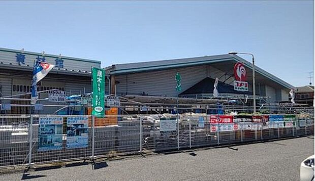 コメリハード＆グリーン伊奈小室店（約1,000m）