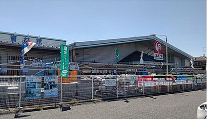 コメリハード＆グリーン伊奈小室店 850m(徒歩11分/自転車4分)
