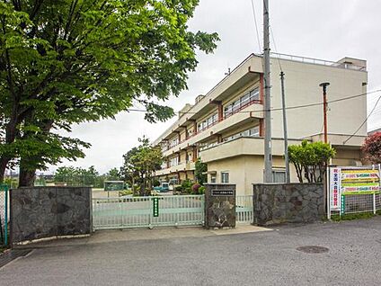 さいたま市立大宮西小学校 1100m(徒歩14分)