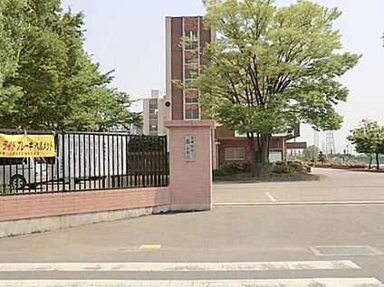 白岡市立南小学校 1200m(徒歩15分)