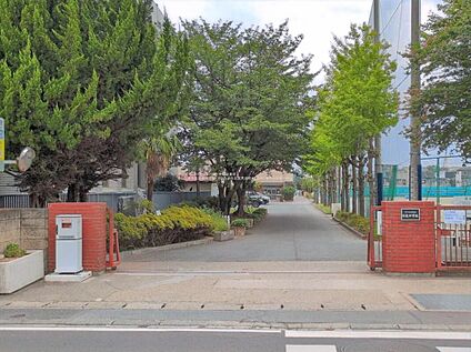さいたま市立日進中学校 1100ｍ(徒歩14分)