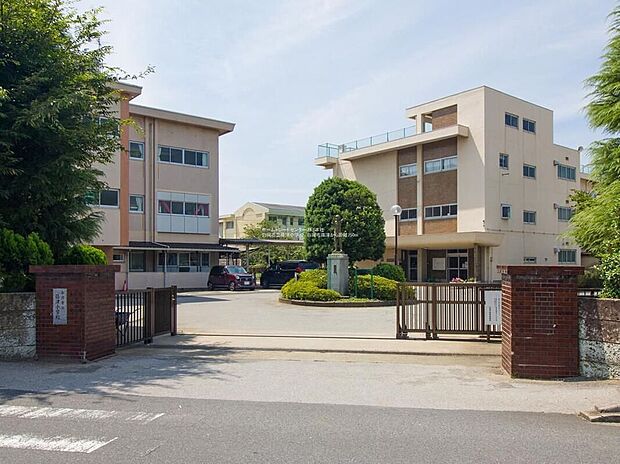 白岡市立篠津小学校(約750m)