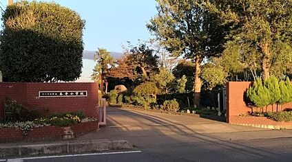 さいたま市立泰平小学校 440m(徒歩6分)