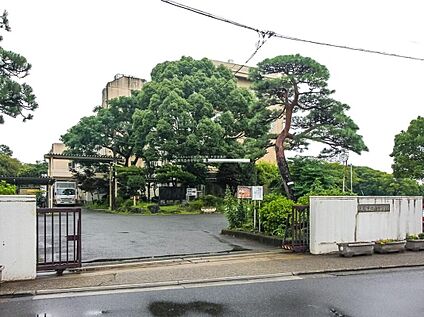 上尾市立南中学校 750ｍ(徒歩10分)