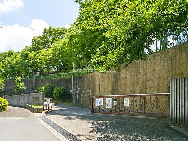 川崎市立南菅中学校（約950m）