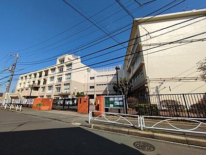川崎市立向丘中学校 1280ｍ(徒歩16分、自転車7分)