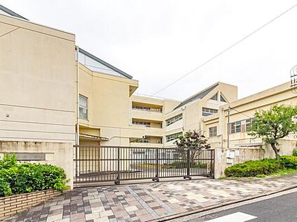 横浜市立桂小学校 450ｍ(徒歩6分)