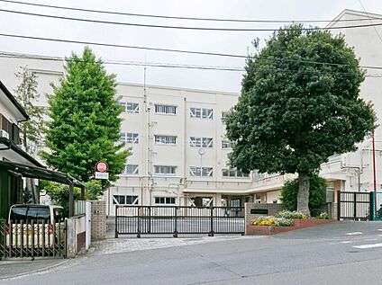 横浜市立奈良小学校 550m(徒歩7分)