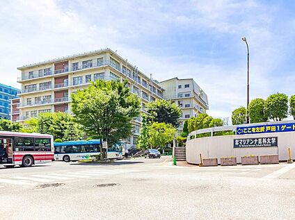 聖マリアンナ医科大学病院 3100m(徒歩39分、車18分)