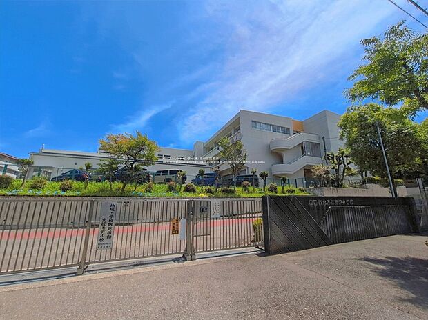 横浜市立鴨志田緑小学校（約751m）
