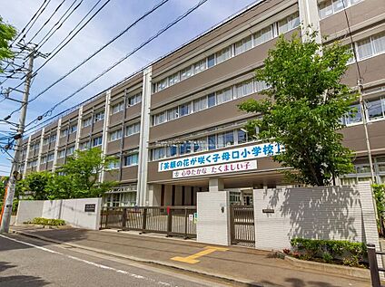 川崎市立子母口小学校 640m(徒歩8分)