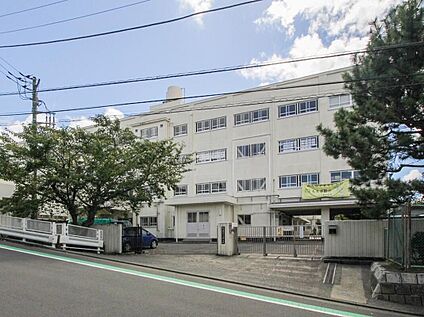 横浜市立もえぎ野小学校 900m(徒歩12分)