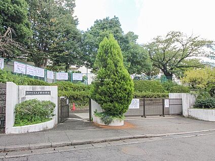 横浜市立もえぎ野中学校 1000m(徒歩13分)